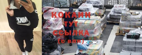 амф Инта