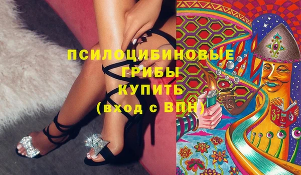 амф Инта